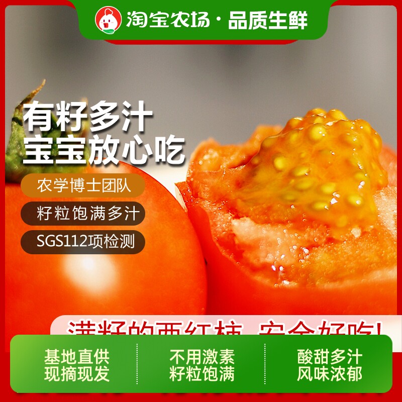 黄金籽西红柿4.8-5斤新鲜自然熟老品种水果生吃番茄口感柿子