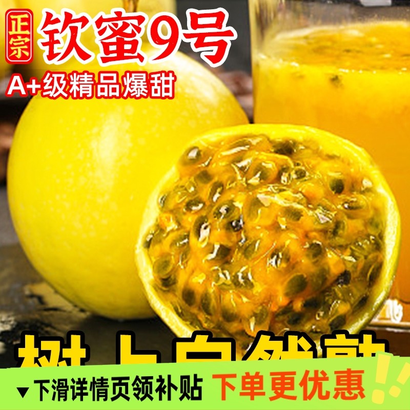 钦蜜9号黄金百香果新鲜1/3/5斤大果b包邮整箱应季百香果黄金果