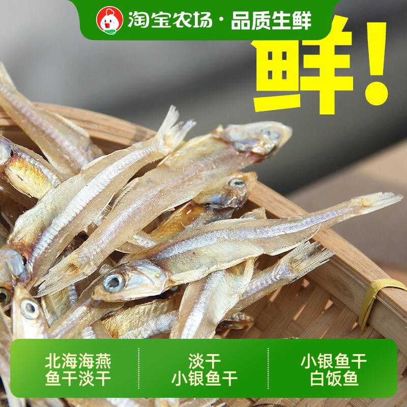 北海海燕鱼干淡干小银鱼干白饭鱼小鱼干海鱼干海鲜干货淡晒干鱼图片