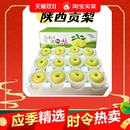 小河酥梨精选彩箱老树梨当季 水果新鲜陕西皇翠冠整箱青梨多规格