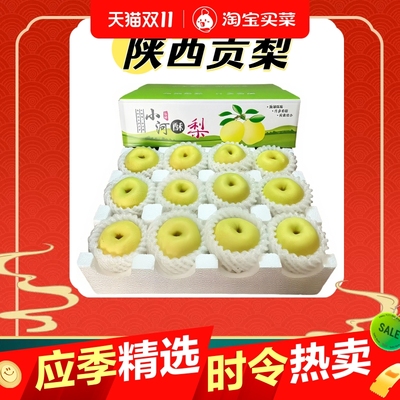 小河酥梨精选彩箱老树梨当季水果新鲜陕西皇翠冠整箱青梨多规格