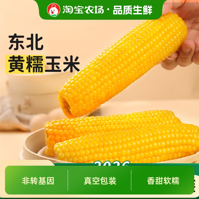 东北黄糯玉米当季新货