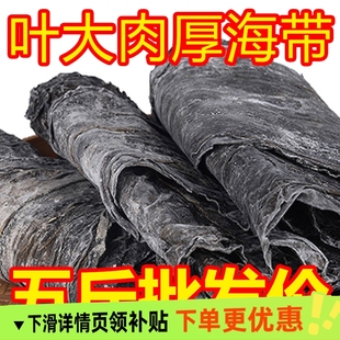 25年新品 霞浦干海带1斤2斤5斤干货凉拌火锅厚昆布天然干海带批发