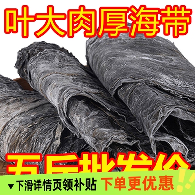 25年新品霞浦干海带1斤2斤5斤干货凉拌火锅厚昆布天然干海带批发