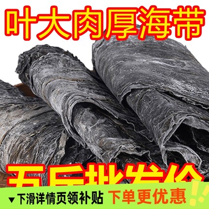 25年新品霞浦干海带1斤2斤5斤干货凉拌火锅厚昆布天然干海带批发