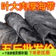 霞浦干海带1斤2斤5斤干货凉拌火锅厚昆布天然干海带批发 25年新品