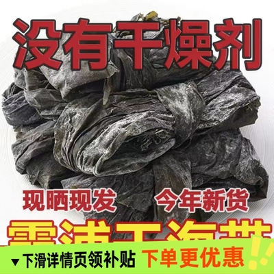 福建海带干货无沙海带野生霞浦海产品非特级厚丝结头天然