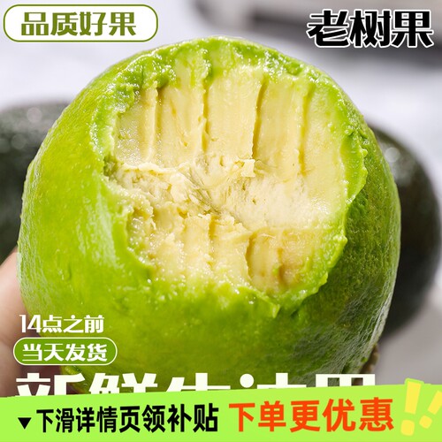 哈斯牛油果当季宝宝辅食整箱一级新鲜进口水果鳄梨孕妇大果包邮