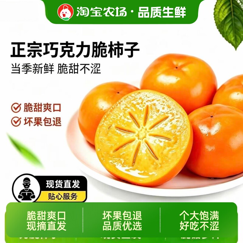 正宗巧克力脆柿子冰糖心新鲜脆柿子脆甜应季水果甜柿子甘甜整箱