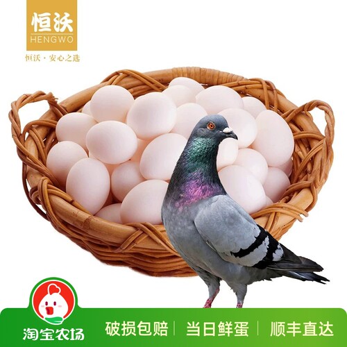 浙江新鲜鸽子恒沃顺丰杂粮