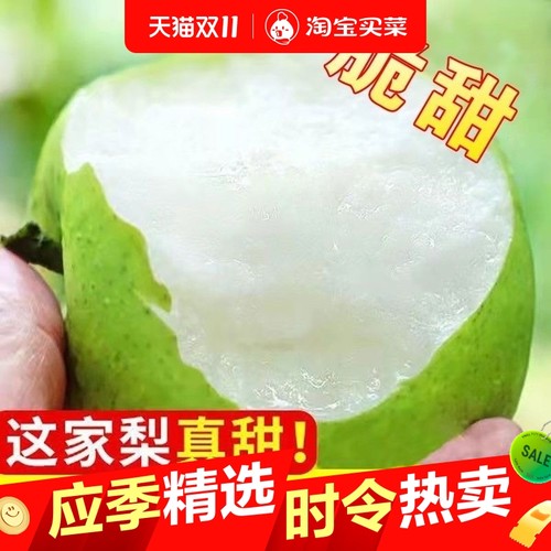 新鲜发货当季新鲜水果翠玉梨子酥脆一号砀山产地直发酥蜜梨