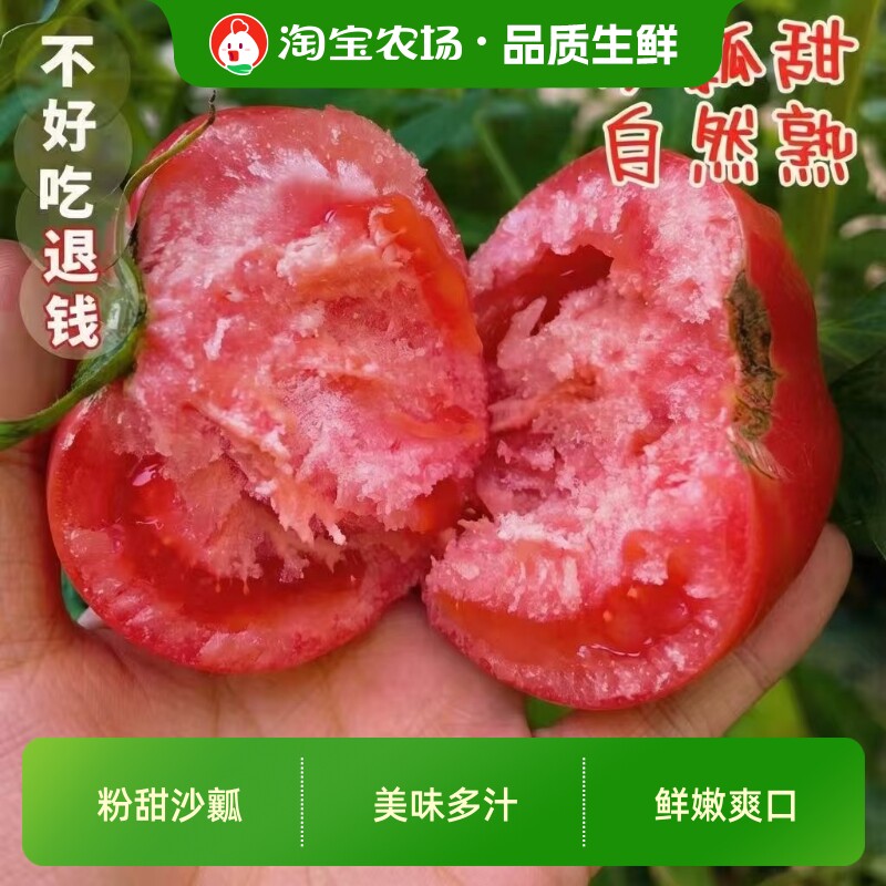 陕西泾阳普罗旺斯西红柿孕妇水果自然熟新鲜生吃番茄蔬菜一颗甄选