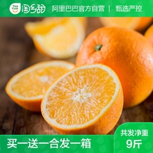 29.9元包邮 阿里巴巴旗下品牌  淘乡甜 崀山脐橙 4.5斤 中大果70-80mm新鲜水果橙子包邮 *2件