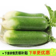 潍坊青萝卜水果萝卜甜脆潍县沙地萝卜潍坊农科院基地正宗当季蔬菜