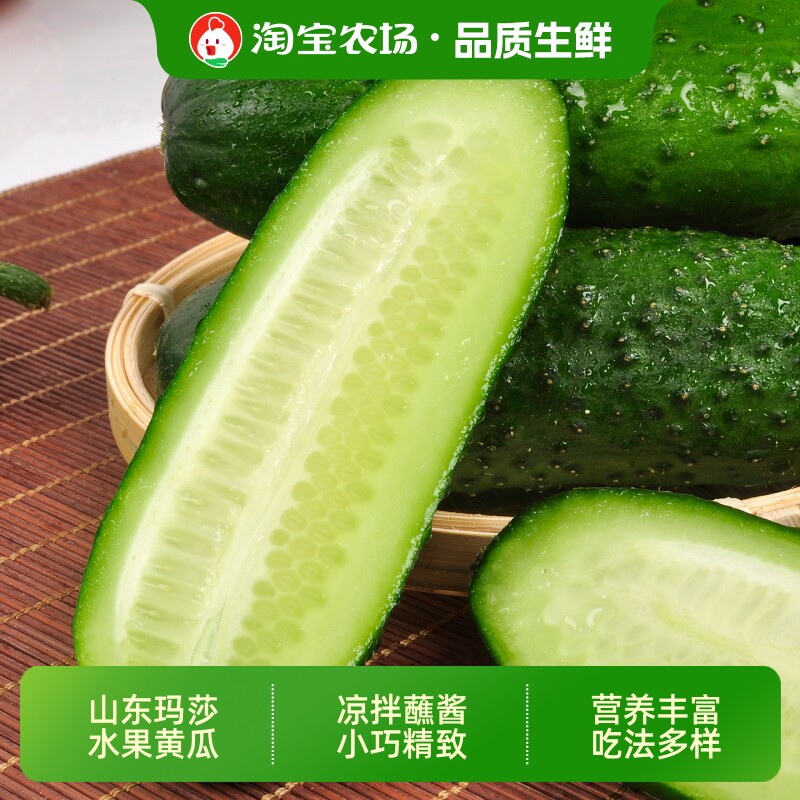 山东新鲜玛莎黄瓜凉拌热炒蘸酱脆黄瓜即食自提现摘保存农场