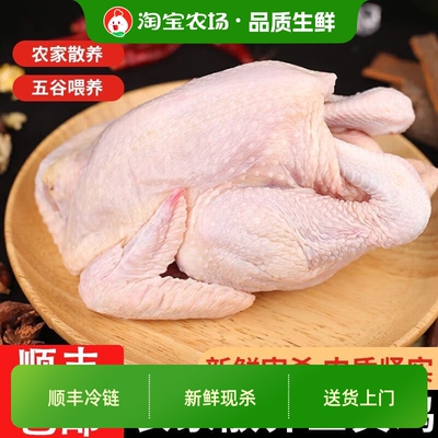 新鲜童子鸡公鸡整只现杀顺丰发货