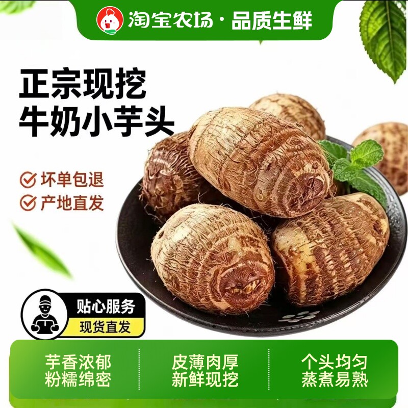 正宗农家牛奶小芋头5斤新鲜香芋头粉糯软糯蒸现挖自种毛芋头农场