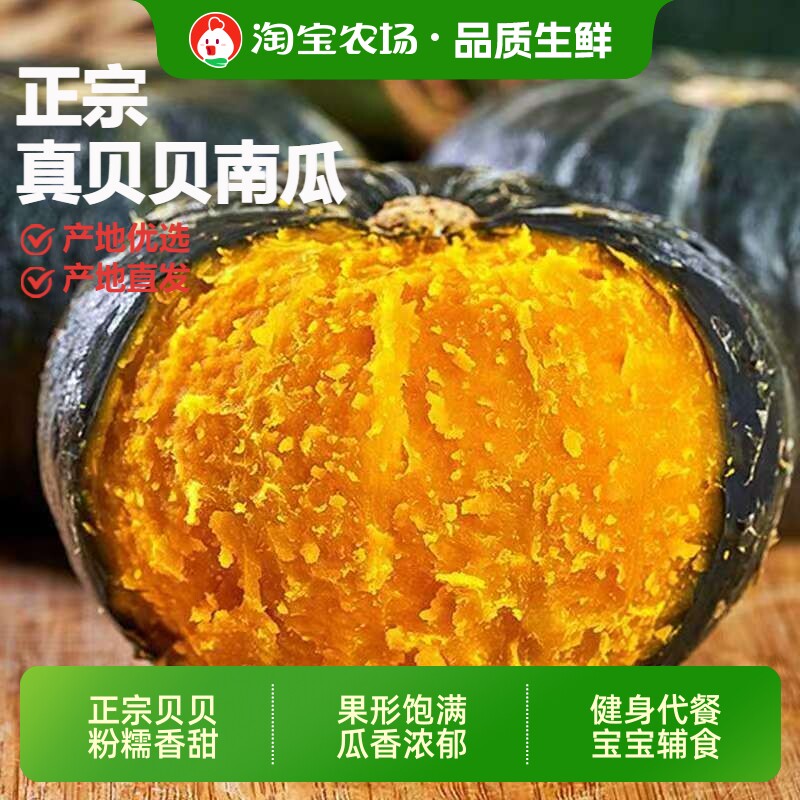 正宗贝贝南瓜新鲜板栗味小南瓜粉糯香甜宝宝辅食产地直发美食农场