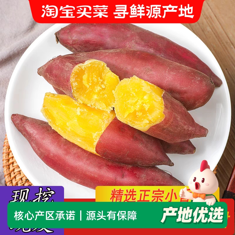 临安天目山小香薯正宗农家自种小番薯地瓜蜜薯新鲜板栗薯产地包邮