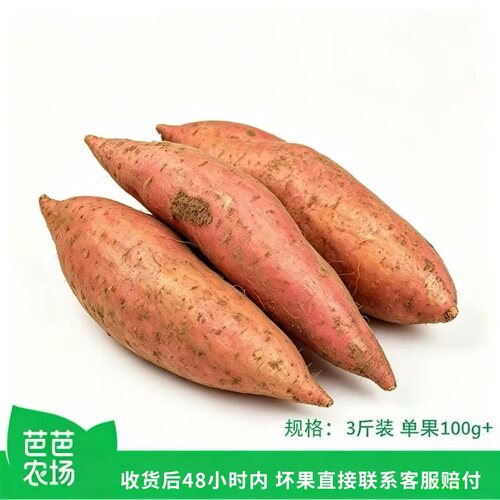 薯烟25号香甜软糯可口