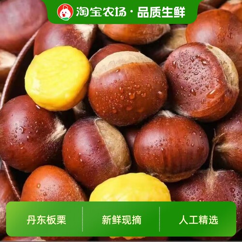 辽宁丹东现摘生板栗新鲜