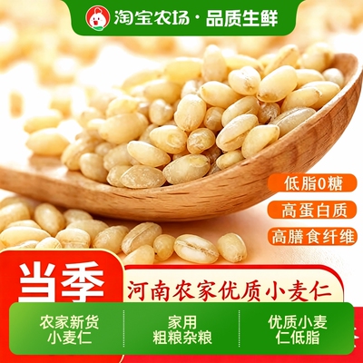 小麦仁米去皮小麦粒新小麦小麦仁
