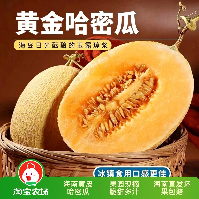 海南黄金蜜瓜哈密瓜当季新鲜水果黄皮网纹黄河蜜瓜现摘包邮甄选