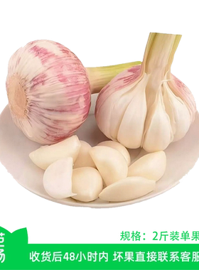 芭芭农场兑换紫皮鲜大蒜2斤装单果45mm现摘当季
