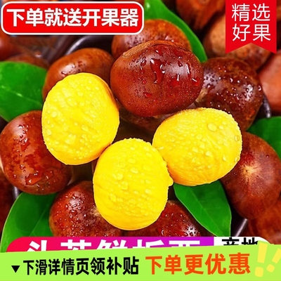 2025新树下丹东新鲜板栗新鲜包邮