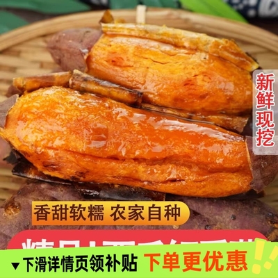 新鲜地瓜沙地番薯