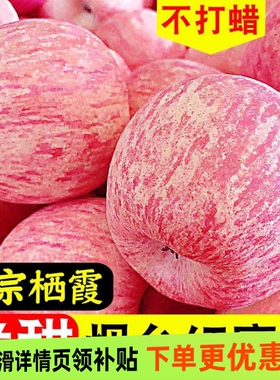 山东烟台红富士苹果脆甜多汁冰糖心丑苹果当季新鲜水果整箱装包邮