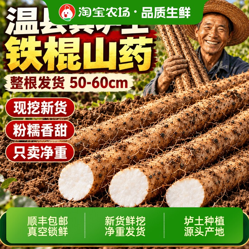 河南焦作温县铁棍山药垆土淮山药正宗怀山药特产新鲜山药5斤去皮