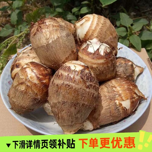 山东2025新鲜小芋头山东牛奶毛芋小香芋头粉糯芋头产地直发50g