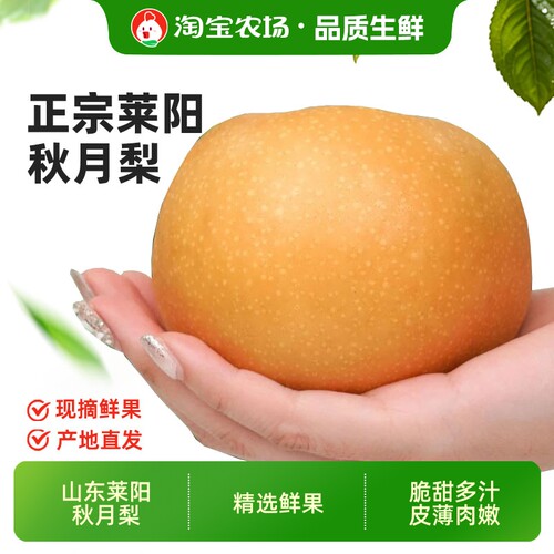 正宗莱阳羊脂秋月梨山东特产新鲜水果黄梨子冰糖雪梨包邮鲜果农场
