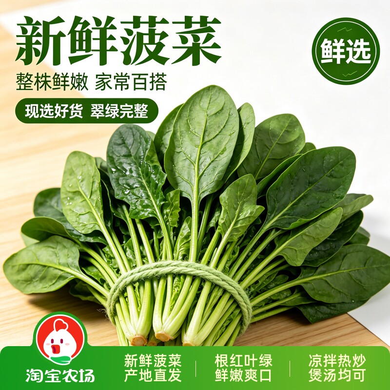 山东菠菜新鲜叶绿肉嫩鲜嫩爽口少筋时令青菜煲汤火锅配菜凉拌白菜