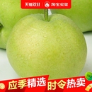 2025年头茬青梨当季 梨子酥脆一号翠冠梨早梨安徽砀山梨酥脆多汁