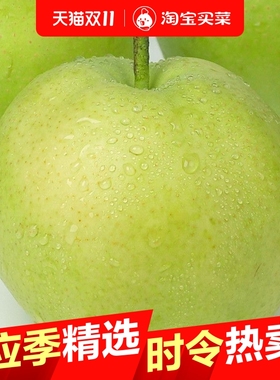 2025年头茬青梨当季梨子酥脆一号翠冠梨早梨安徽砀山梨酥脆多汁