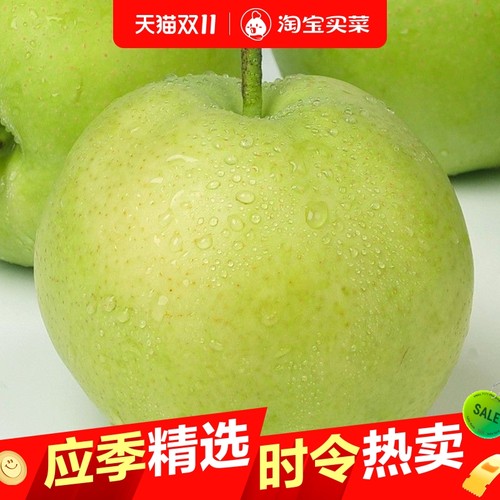 2025年头茬青梨当季梨子酥脆一号翠冠梨早梨安徽砀山梨酥脆多汁