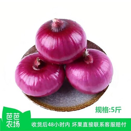【芭芭农场兑换专享】5斤洋葱单果150g+
