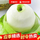正宗砀山青皮蜜梨皇冠新鲜水果梨子青皮薄皮当季 新鲜发脆甜多汁