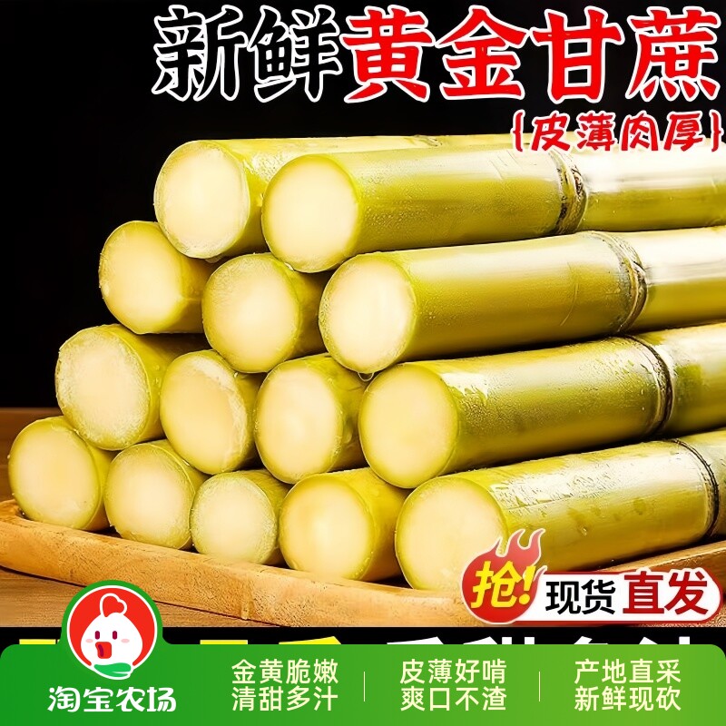 正宗黄金甘蔗新鲜水果9斤当季特产黄皮果蔗手撕脆皮清甜爽口包邮