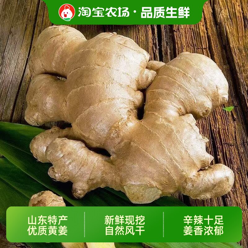 山东大黄姜批发生姜老姜现挖土蔬菜大姜优月子姜风干鲜姜5斤食用