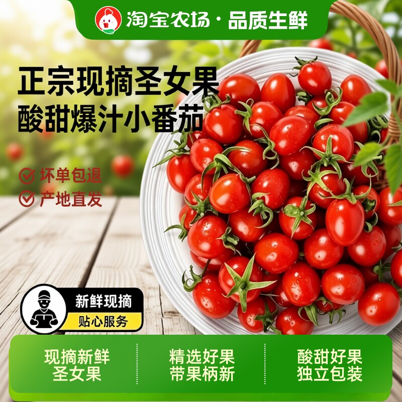 正宗新鲜小番茄小西红柿圣女果樱桃应季水果樱桃小番茄自然熟自提