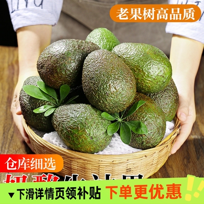 牛油果新鲜水果秘鲁进口鳄梨整箱包邮熟透即食正宗哈斯奶油新鲜果