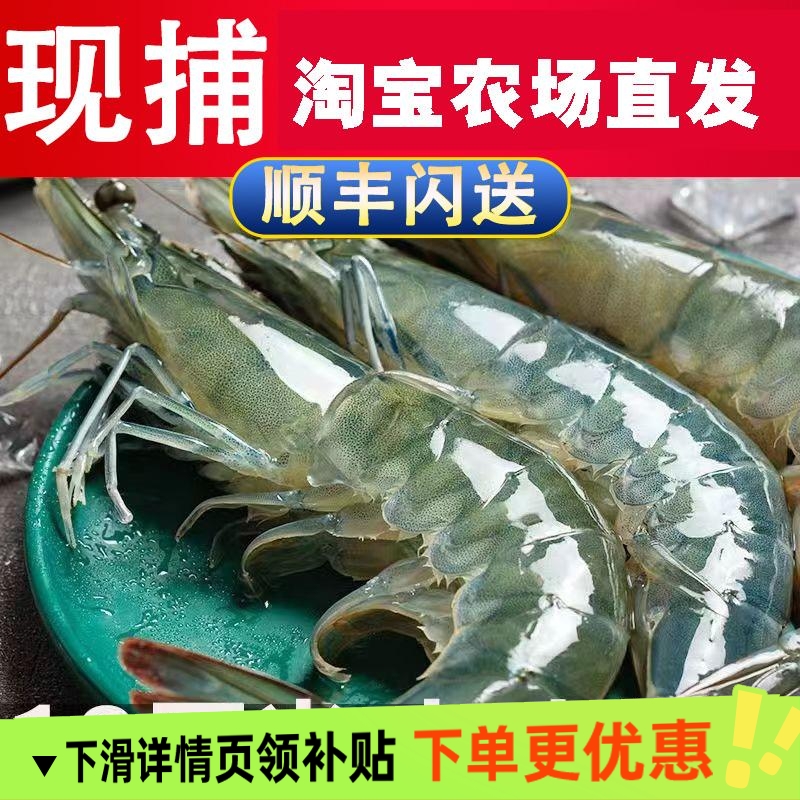 新鲜超大虾鲜活冷冻海捕大虾整箱速冻基围虾青虾白虾特大号海虾