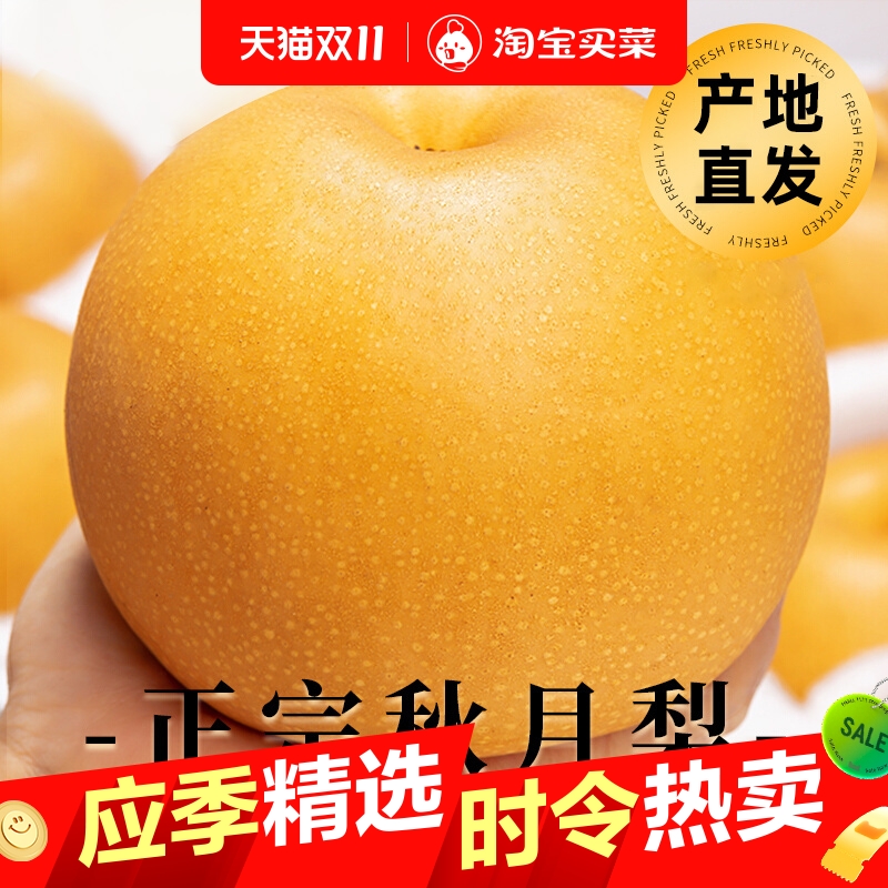 山东秋月梨当季脆甜冰糖梨羊脂膏梨新鲜水果直发品质优良果肉饱满