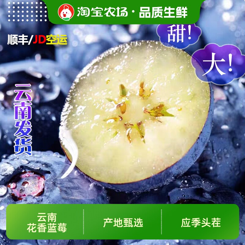 【顺丰京东】8盒125g云南高山花香蓝莓鲜果脆甜一颗佳莓沃高端