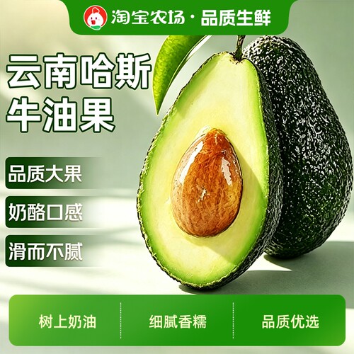 秘鲁哈斯精品牛油果减脂