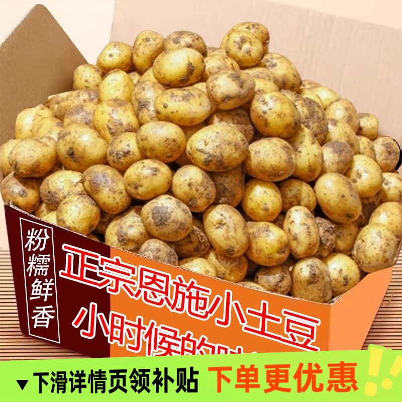 正宗恩施小土豆现挖精品黄心黄皮当季蔬菜特产洋芋迷你马铃薯包邮