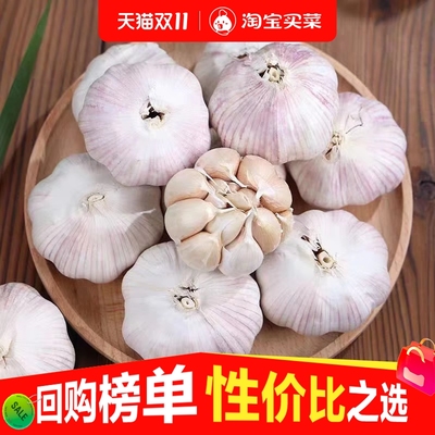 金乡当季紫皮大蒜头产地价包邮